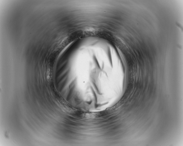X0000094930134200712201101
