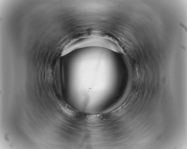 X0000094930136200712201101