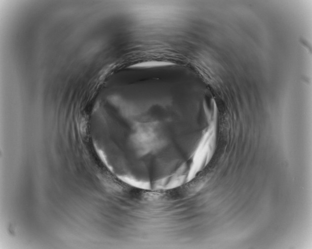 X0000094930139200712201101