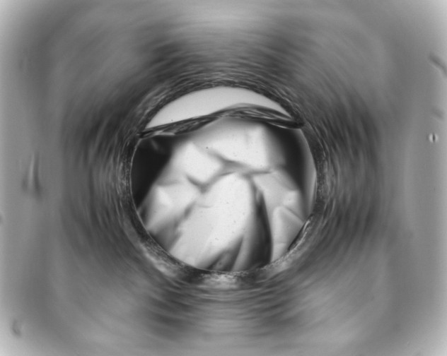 X0000094930140200712201101