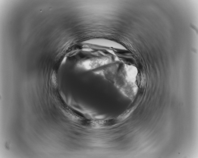 X0000094930143200712201101