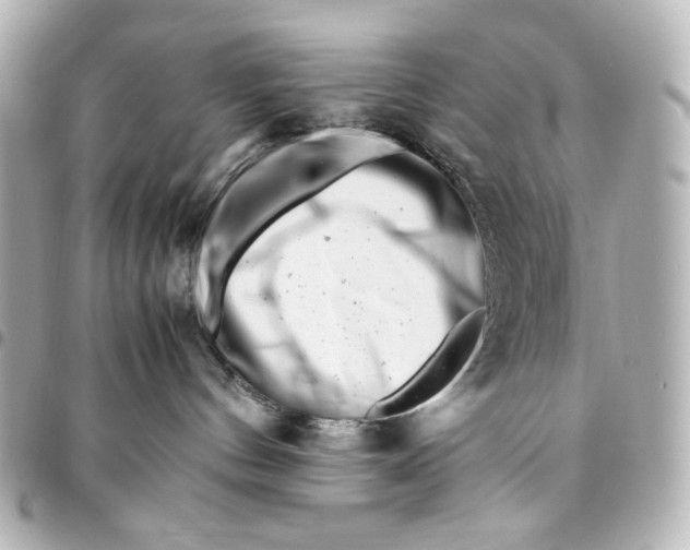 X0000094930144200712201101