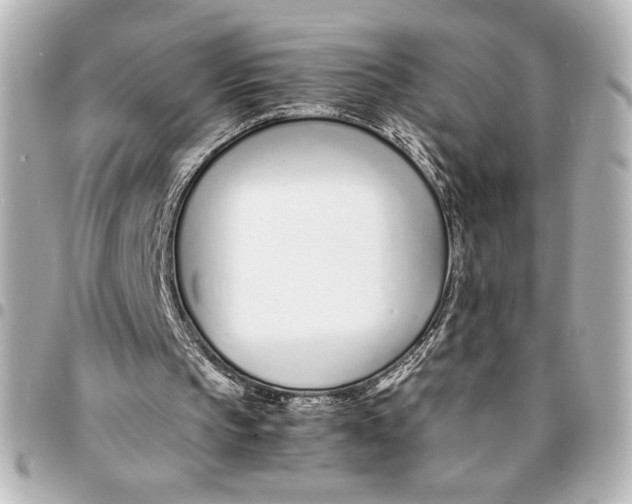 X0000094930145200712201100