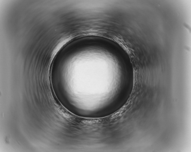 X0000094930147200712201100