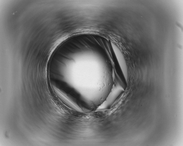 X0000094930148200712201100