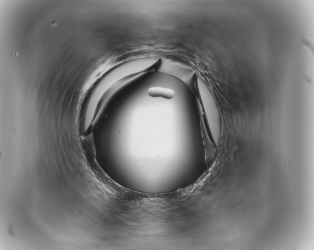 X0000094930150200712201100