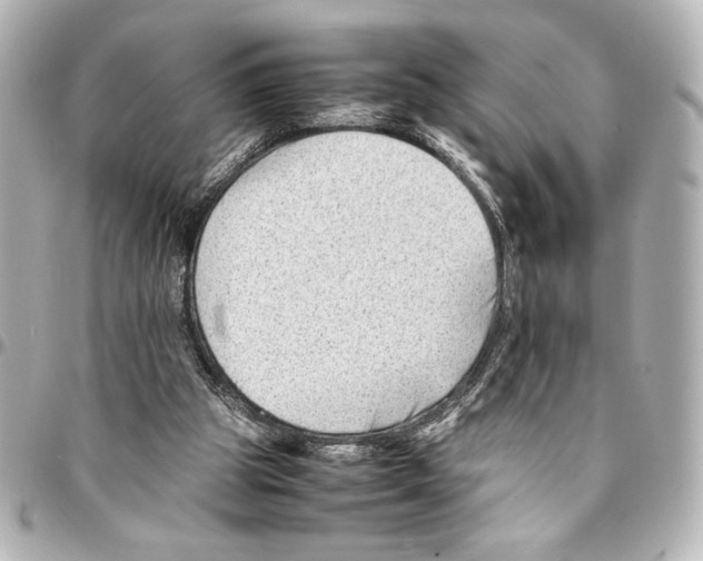 X0000094930153200712201100