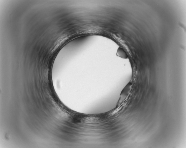 X0000094930154200712201100