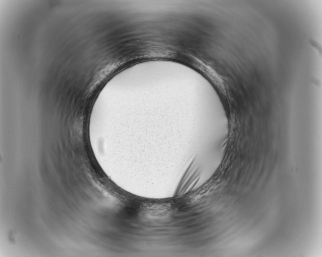 X0000094930155200712201100
