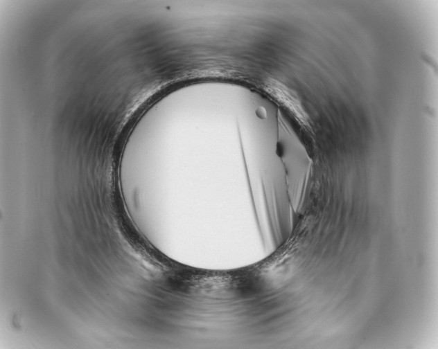 X0000094930156200712201100