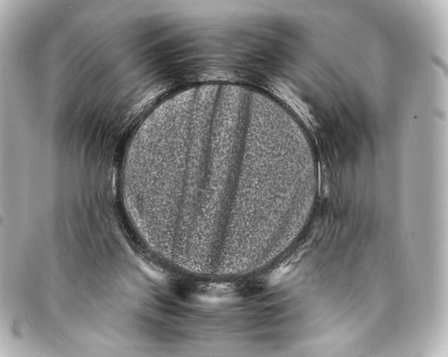 X0000094930157200712201100