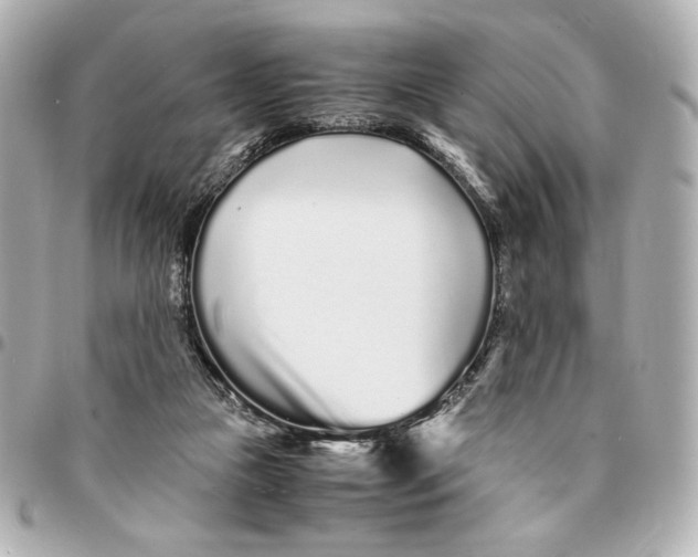 X0000094930161200712201100