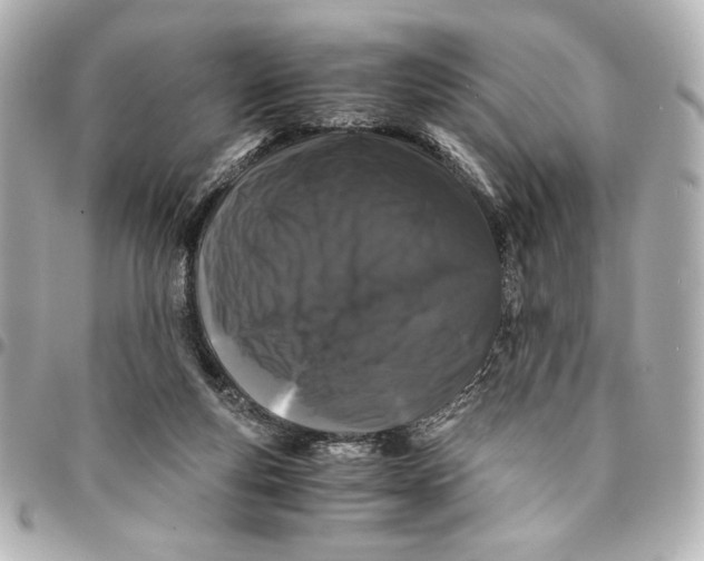 X0000094930163200712201100