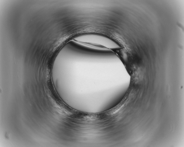 X0000094930164200712201100