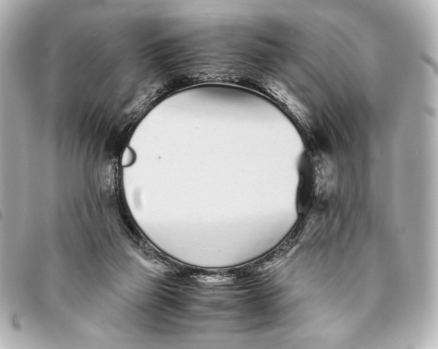 X0000094930165200712201100