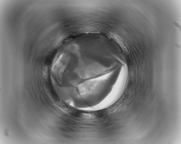 X0000094930167200712201100