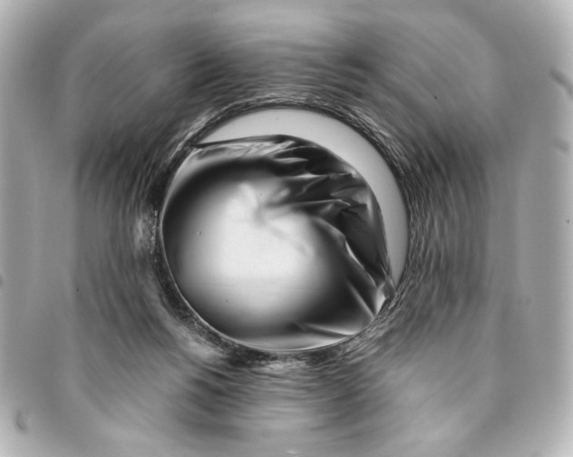 X0000094930168200712201100