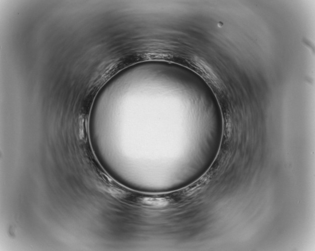 X0000094930169200712201100