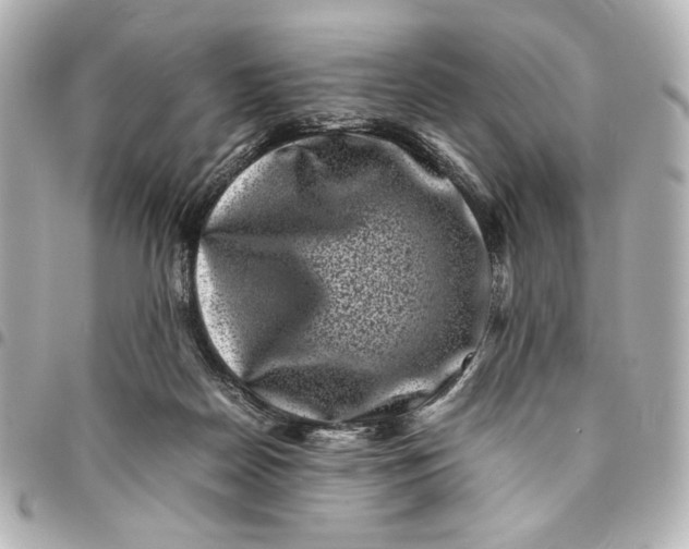 X0000094930170200712201100