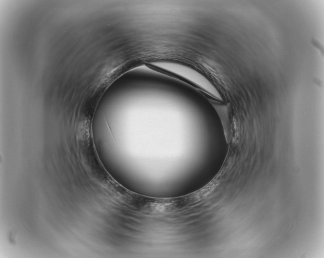 X0000094930172200712201100