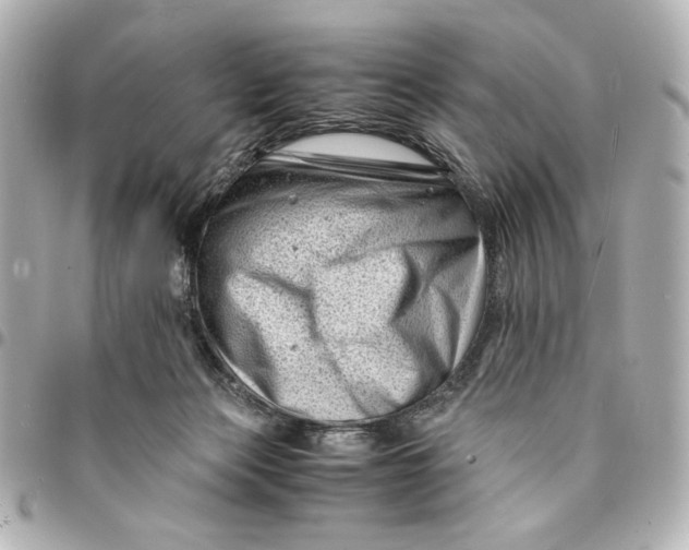 X0000094930173200712201100