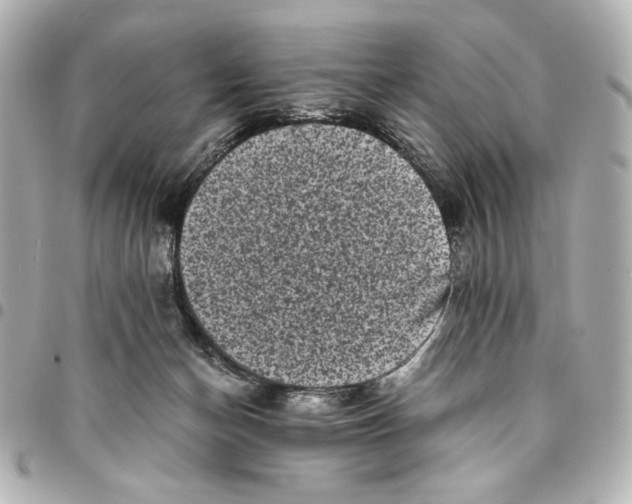 X0000094930174200712201100