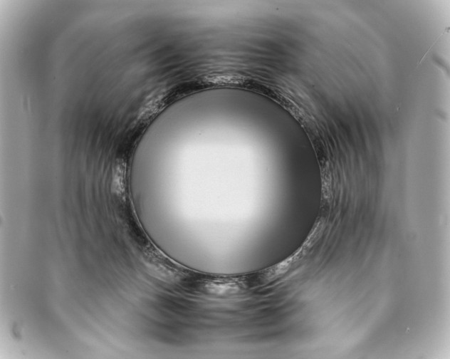 X0000094930175200712201101