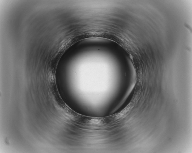 X0000094930176200712201101
