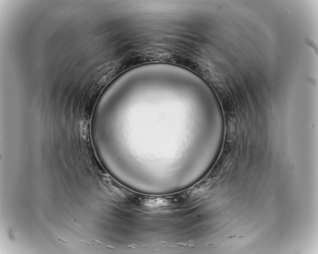 X0000094930177200712201101