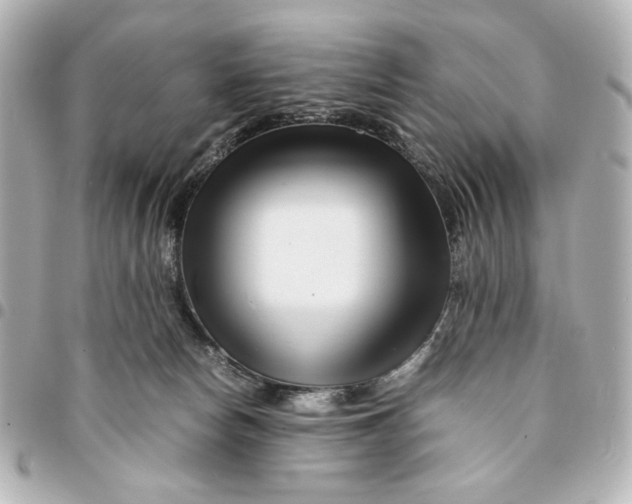 X0000094930178200712201101