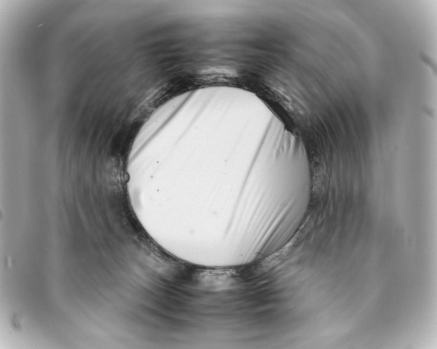 X0000094930179200712201101