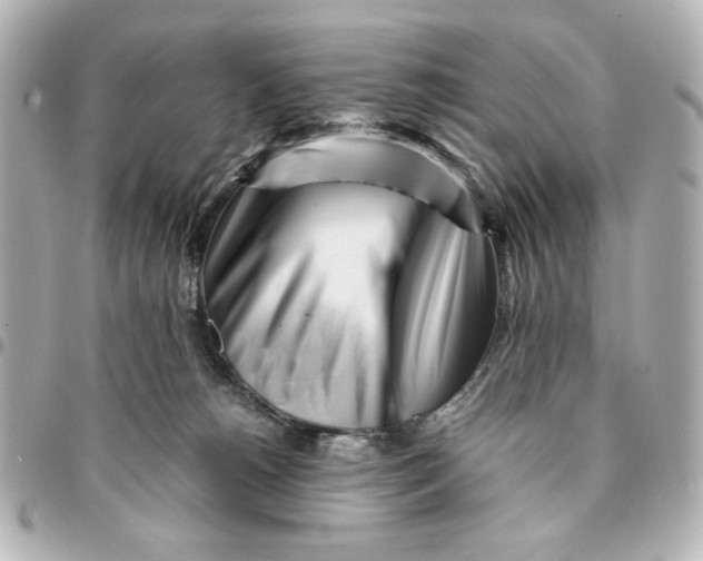 X0000094930180200712201101