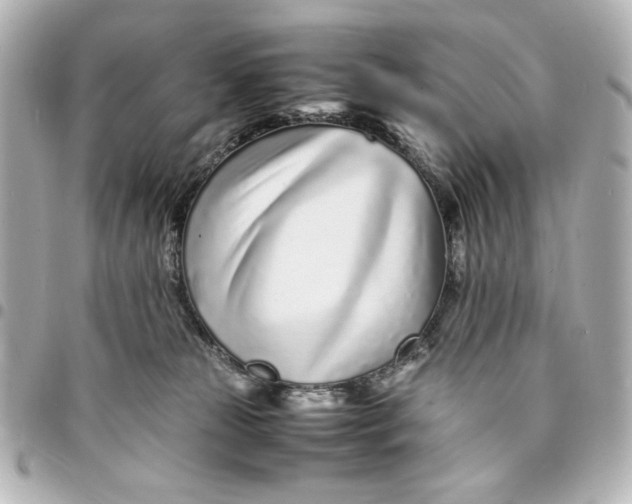 X0000094930181200712201101