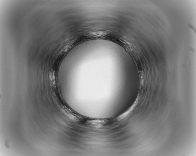 X0000094930182200712201101