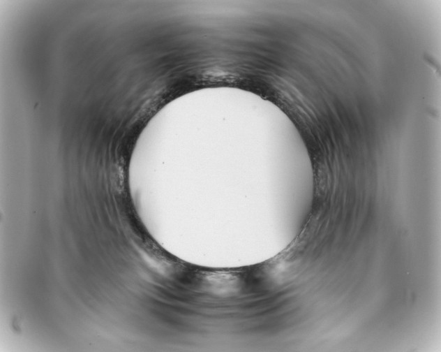X0000094930183200712201101