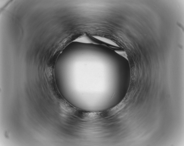 X0000094930184200712201101