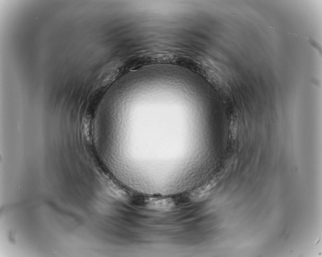 X0000094930185200712201101