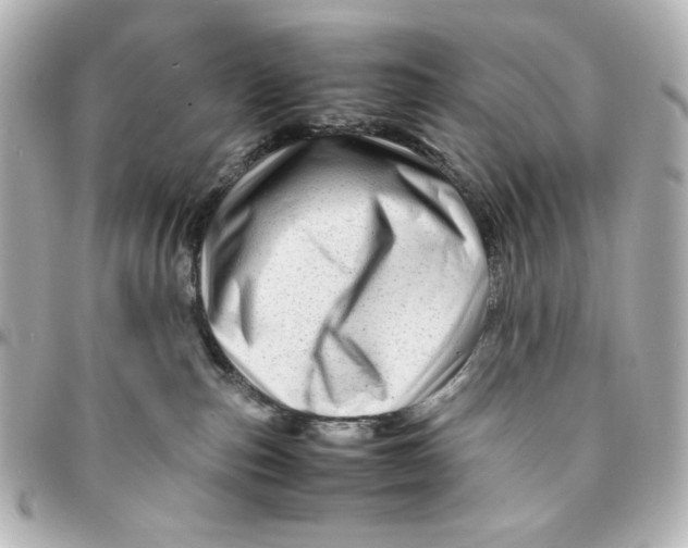 X0000094930187200712201101