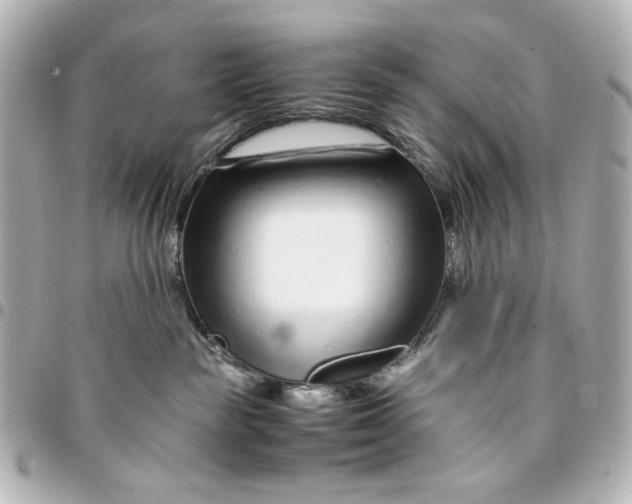 X0000094930189200712201101