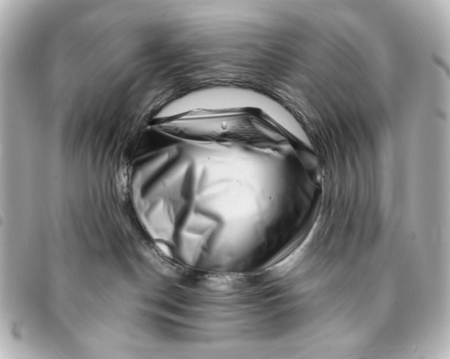 X0000094930190200712201101