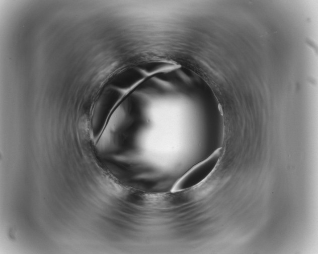 X0000094930192200712201101