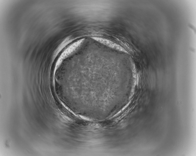 X0000094930195200712201100