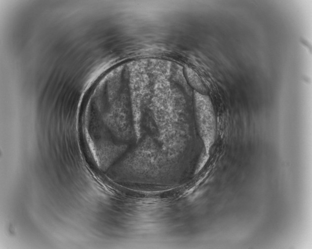 X0000094930196200712201100