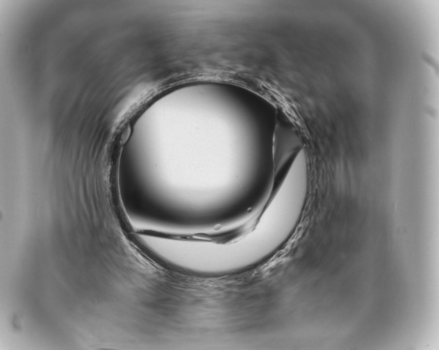 X0000094930197200712201100