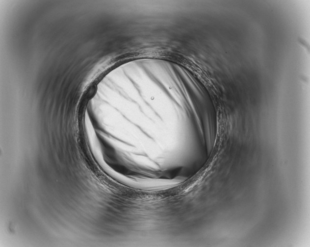 X0000094930198200712201100