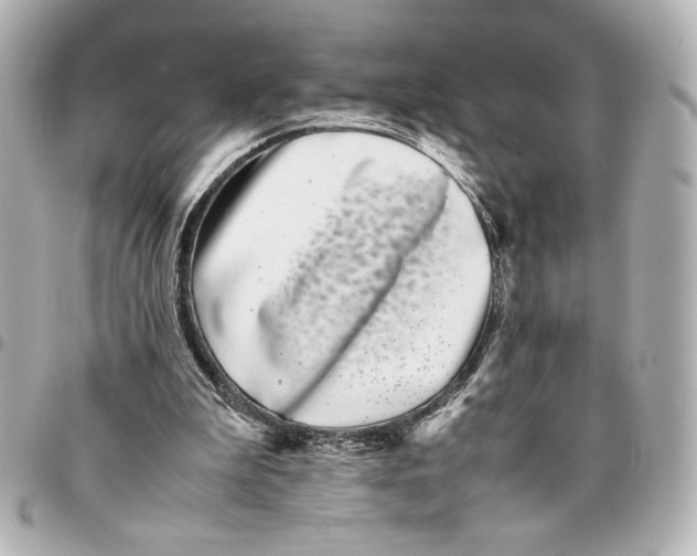 X0000094930199200712201100