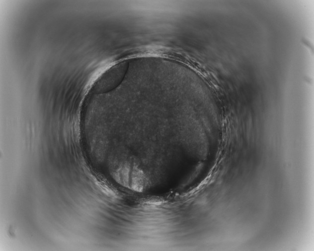X0000094930200200712201100