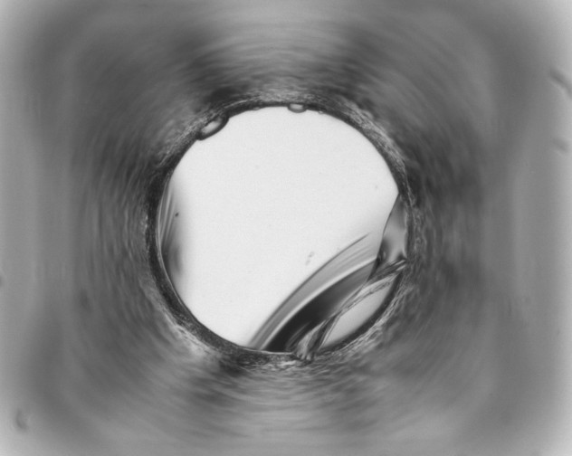 X0000094930201200712201100
