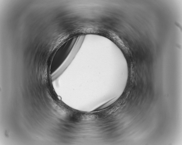 X0000094930202200712201100