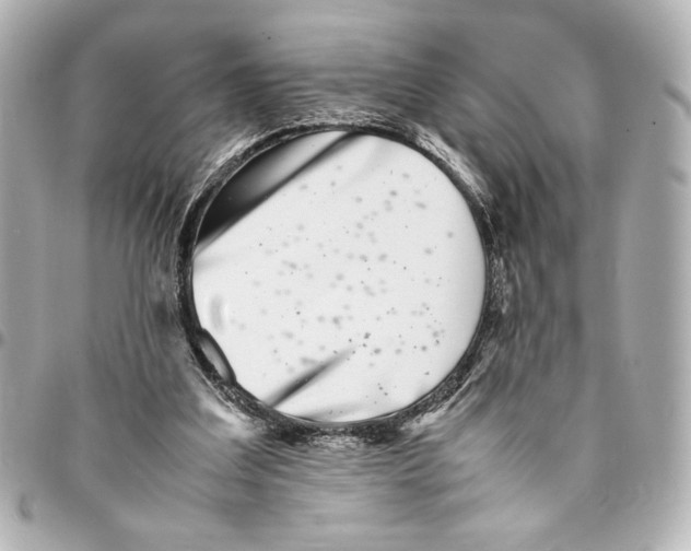 X0000094930203200712201100